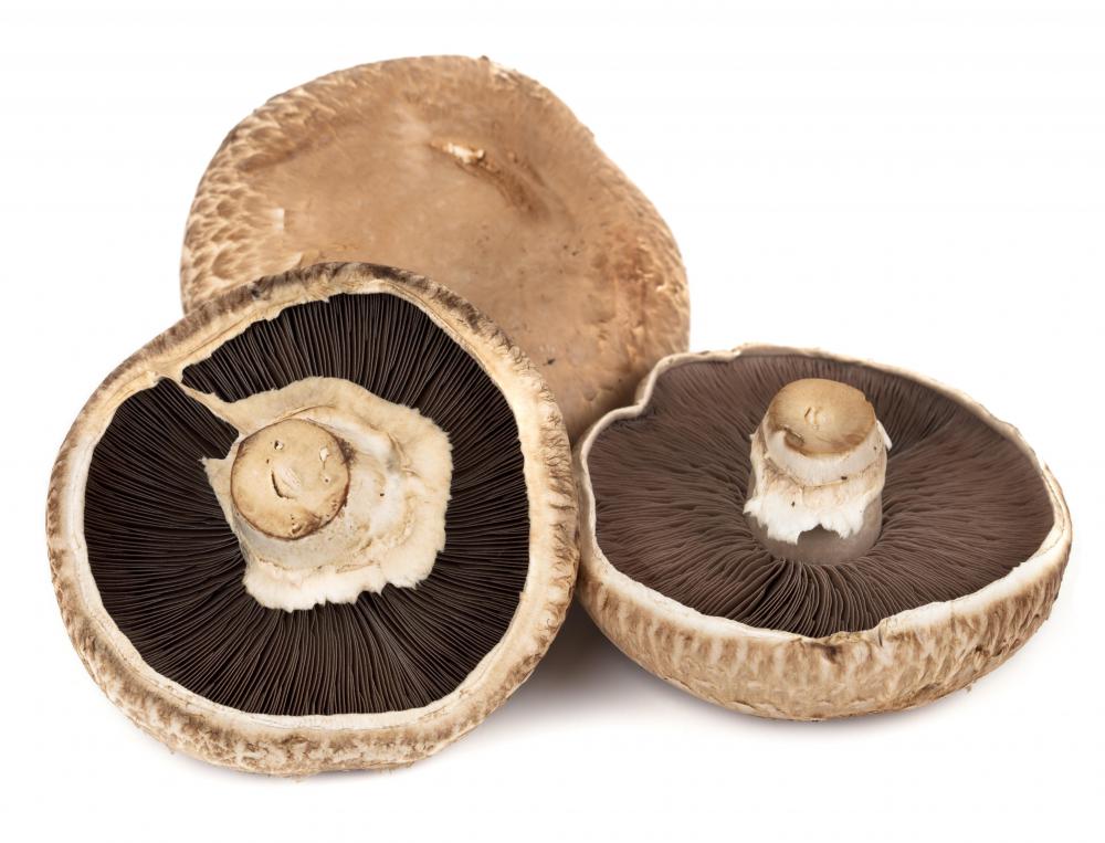 Mushrooms are one of many types of food that contain theonine.