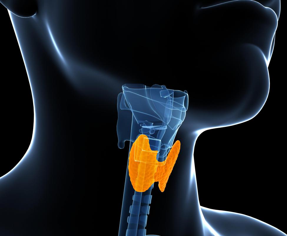 Thyroid support is among the potential pros of chicken liver.