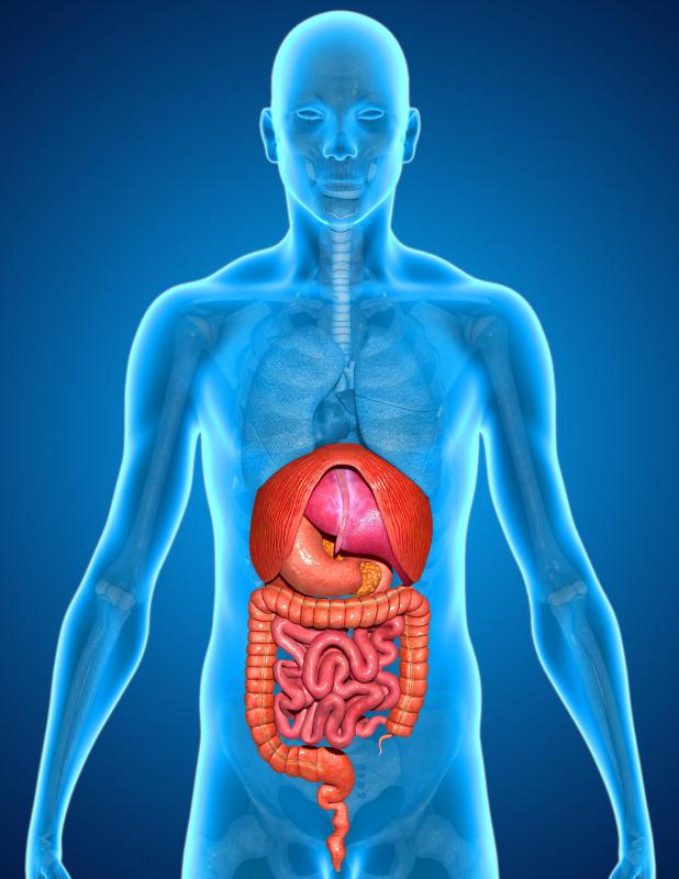 Tumors and cancerous growths in the renal pelvis may result in organ failure.