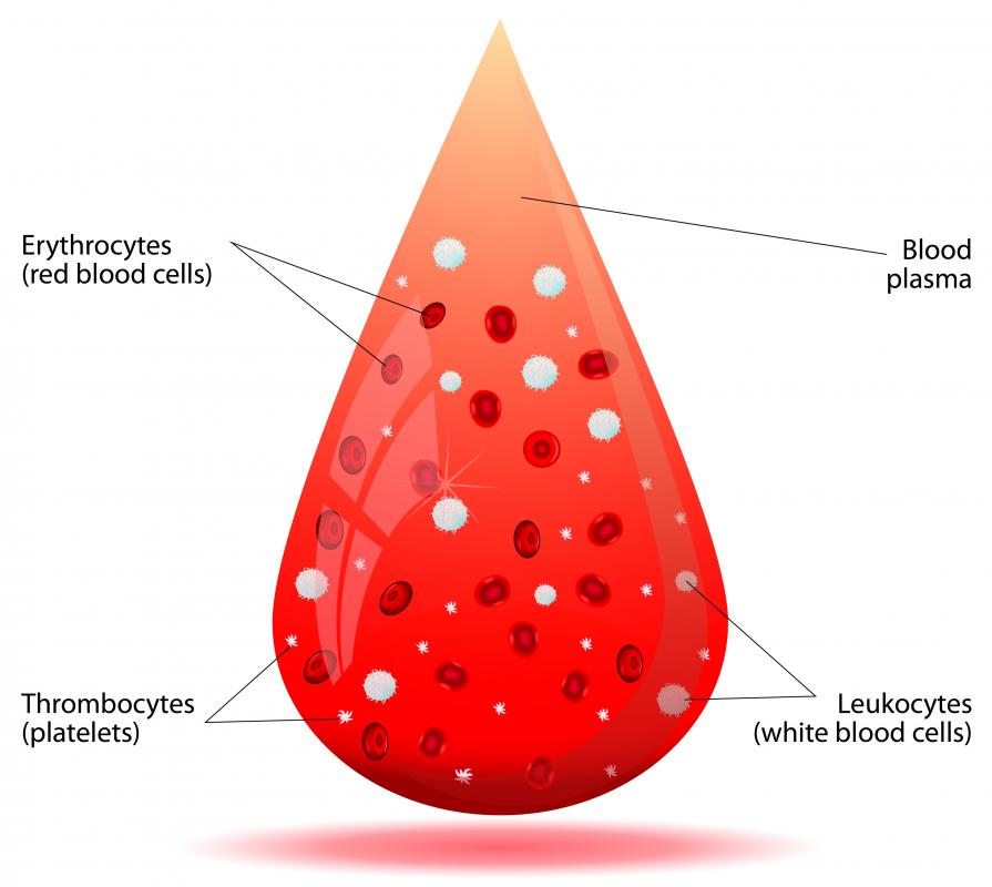Blood is composed of red and white blood cells, plasma, and platelets.