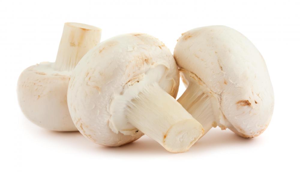 Mushrooms can be effective at helping to build the blood.