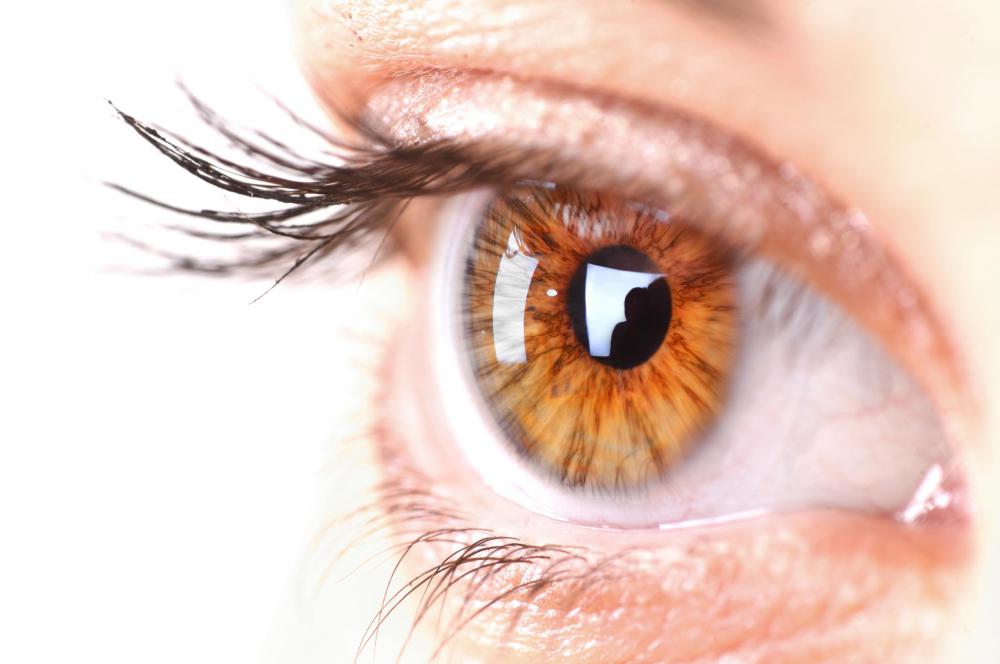 Dense irregular connective tissue can be found in the white of the eye.