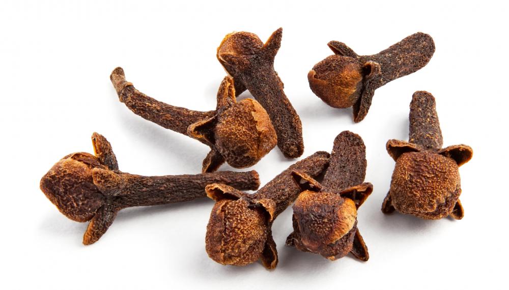 Eugenol is primarily extracted from clove plants.