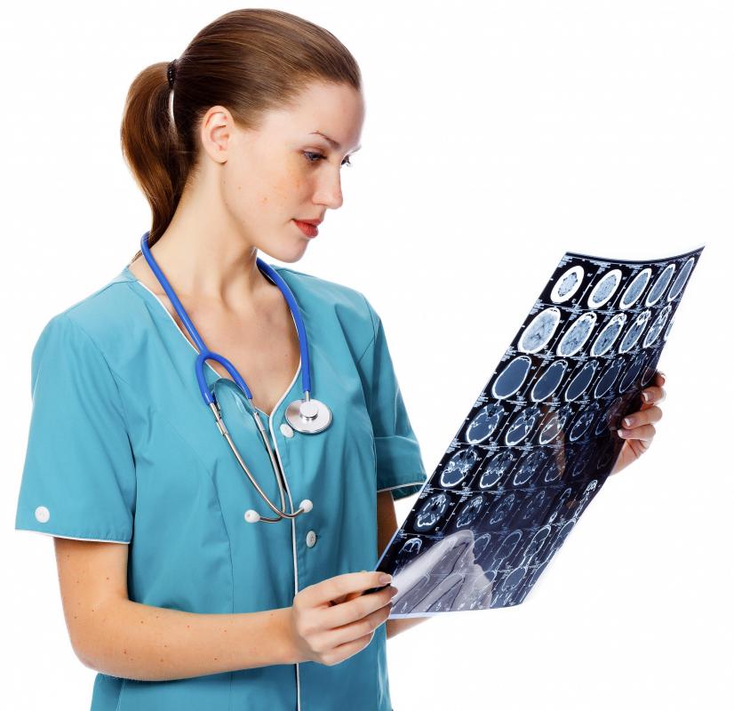 Medical imaging of the brain can give insight into the development of the cerebellum.