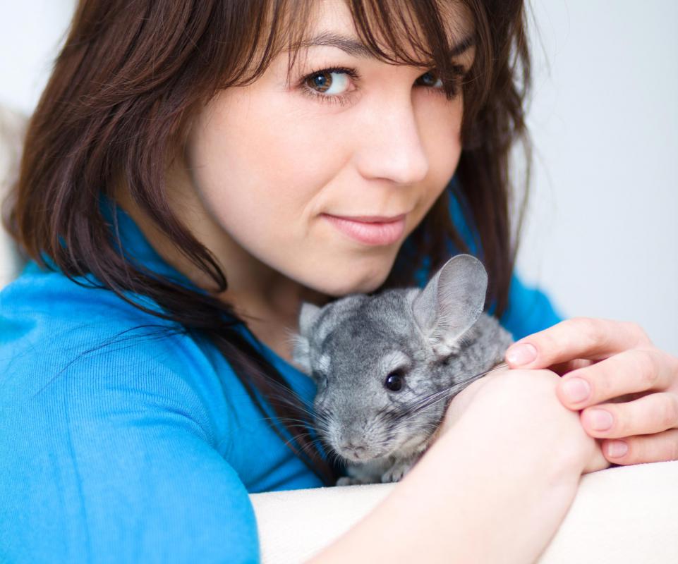 Pet allergies may cause facial swelling.