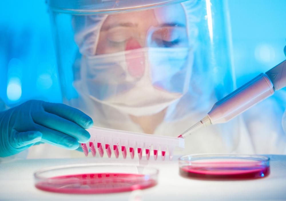 Passive transport is commonly used for techniques like making agar plates to research microorganisms.