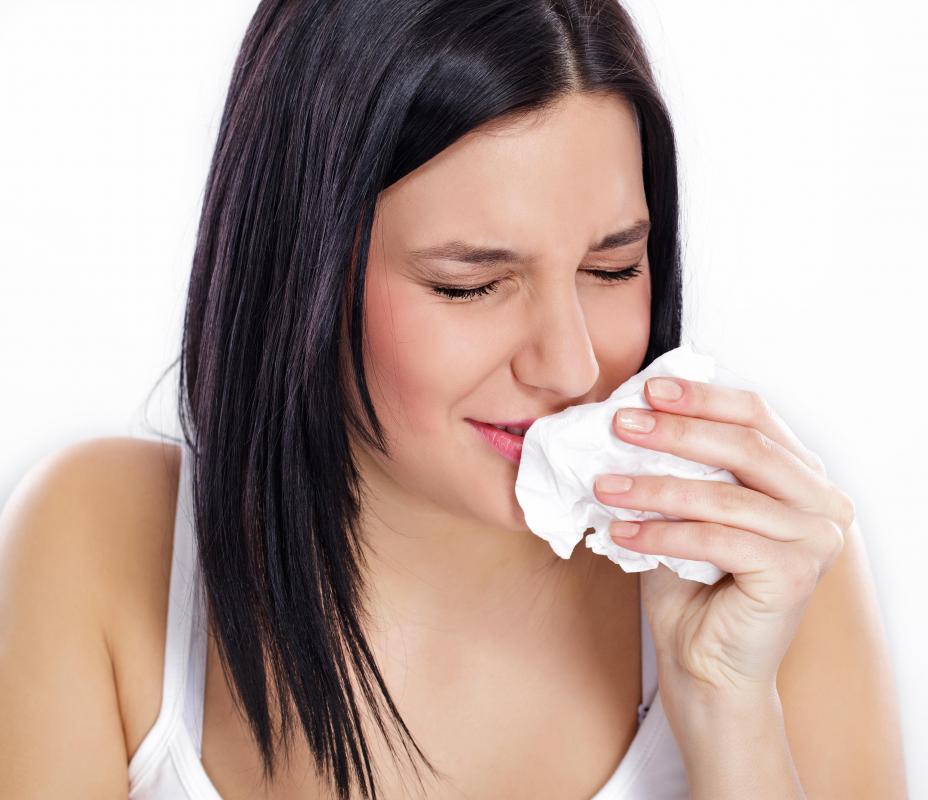 Having allergies should not be a reason to give up a cat.