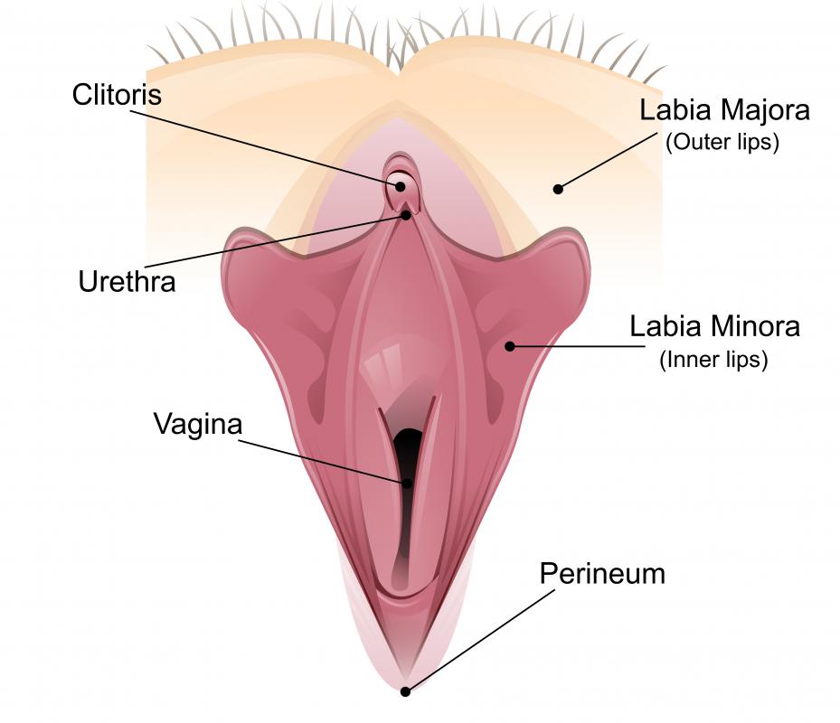 How To Stretch Vagina Telegraph