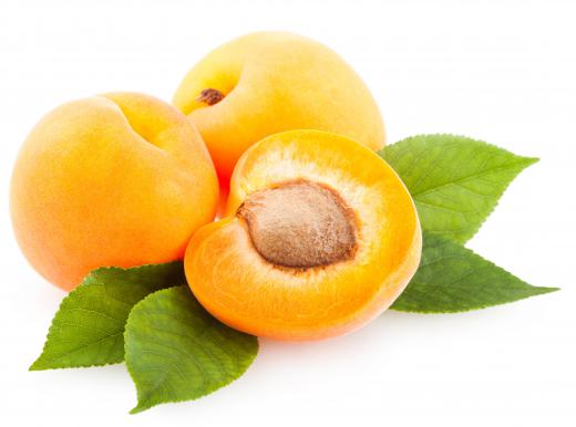 Apricots can be good for blood building.