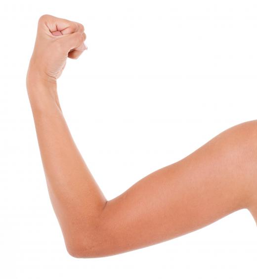 The brachioradialis and biceps work together in the elbow to flex and extend the arm.