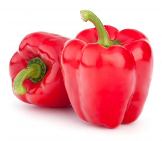 Bell peppers are one Capsicum annuum species.