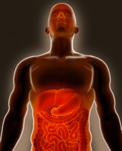 Enteral or parenteral nutrition may be necessary for a short time after surgery or illness impacts the digestive system.