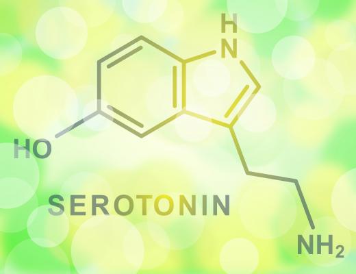 Indolamines are a class of monoamines, and consist of the neurotransmitter serotonin.