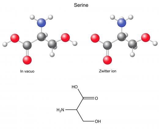 In mucin molecules, a portion of the amino acids are serine or threonine.