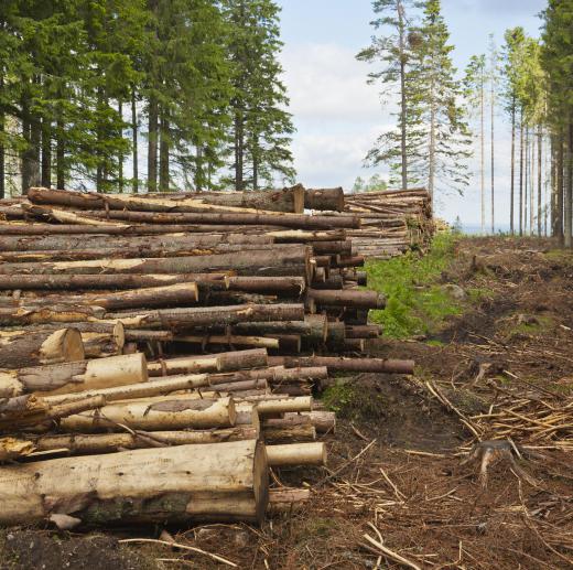 Mensuration is commonly used in the forestry industry.