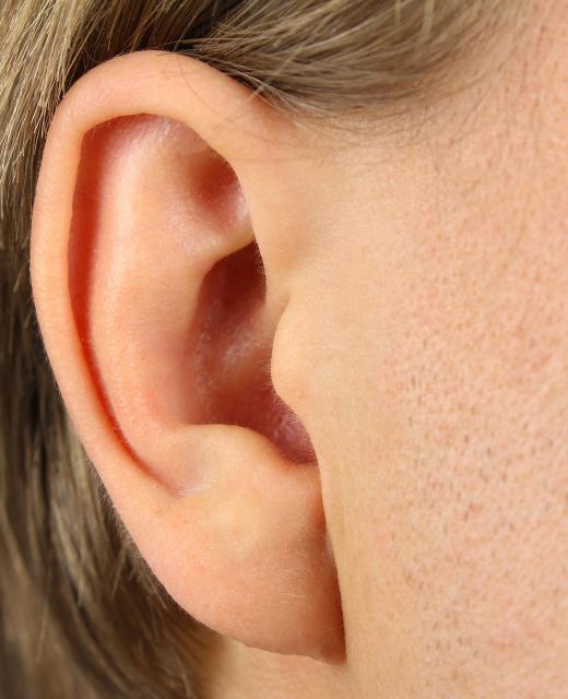 The human ear can be damaged by sounds that are too loud.