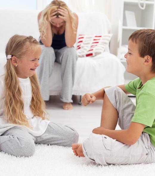 Functional family therapy may be used to handle one sibling's bullying of another.