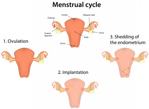 Cervical mucus dries up within a few days prior to implantation or menstruation.