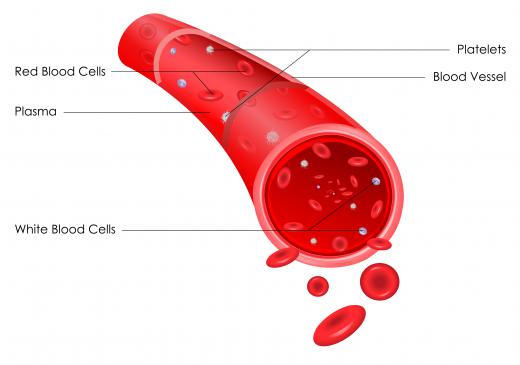 Blood clots prevent the flow of blood in blood vessels.