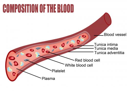 Changes in blood vessels near the skin's surface can cause mottled skin.