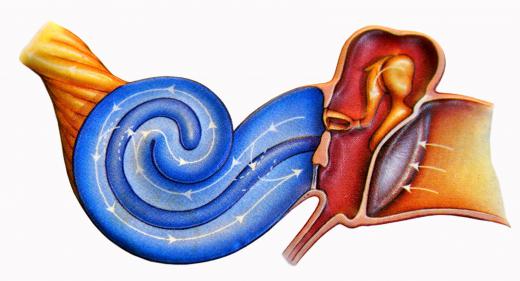 A tympanogram is a testing methodology that examines how the middle ear is functioning.