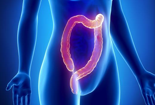 Intestinal spasms can occur in the colon, leading to bloating and abdominal pain.