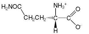 The chemical structure of glutamine.