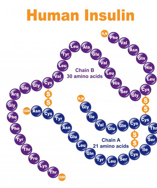 Insulin antibodies bind to insulin, preventing the insulin from interacting with its normal sites of action.