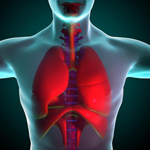 Scarring of the tissue of the lungs is referred to as parenchymal scarring.