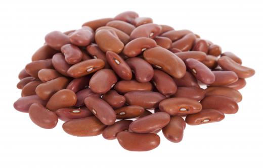 Kidney beans are a good source of methionine.