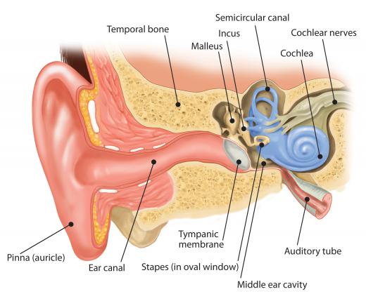 The middle ear is an example of an aditus.