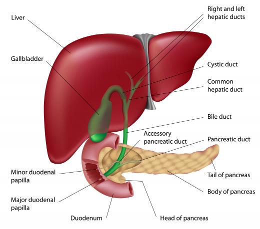 Inflammation of one of the abdominal organs can cause cramping.