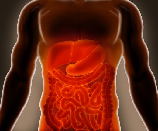 Z-rays are taken of a patient's small intestine during a small bowel follow-through.