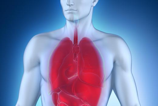 Necrotizing pneumonia is a form of lung inflammation.