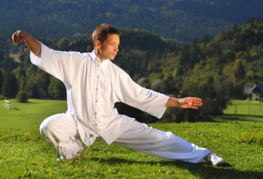 Some people work to achieve holistic fitness with tai chi.