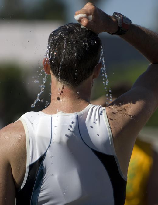 People who work out need to replenish not only water, but also essential salts and electrolytes lost through sweat.