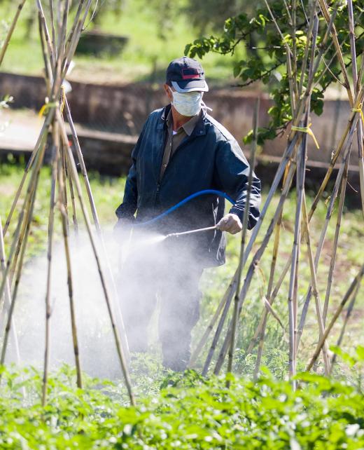 Exposure to pesticides may lead to male infertility.