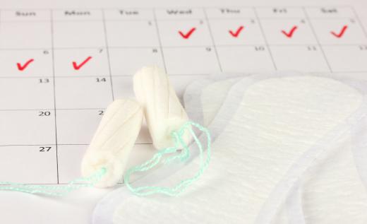 Amenorrhea is the term used to describe the absence or cessation of a woman's menstrual period.