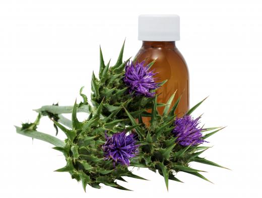 Silymarin is found in the milk thistle plant.