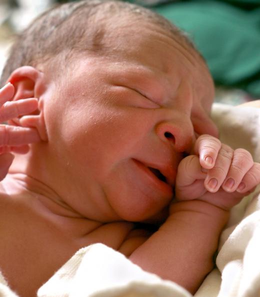 Most newborns tend to breathe through their noses rather than their mouths shortly after birth.