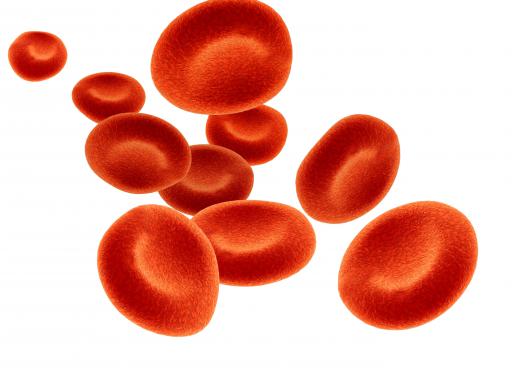 Red blood cells carry oxygen to different areas of the body.