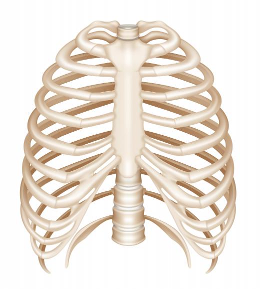 Hyaline cartilage connects the ribs to the sternum.