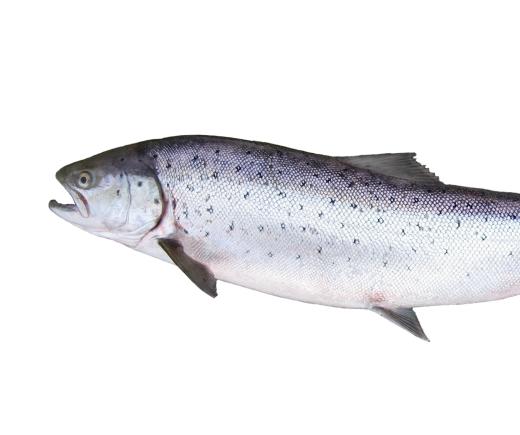 Fish like salmon are high in omega-3 fatty acids.