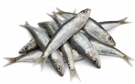 Sardines -- a type of small fish in the herring family -- are rich in leptin as well as calcium, vitamin D and omega-3 fatty acids.