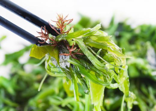 Some Irish citizens ate kelp to survive famine.