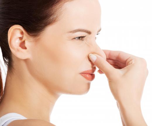 Sebaceous cysts often have a foul odor.