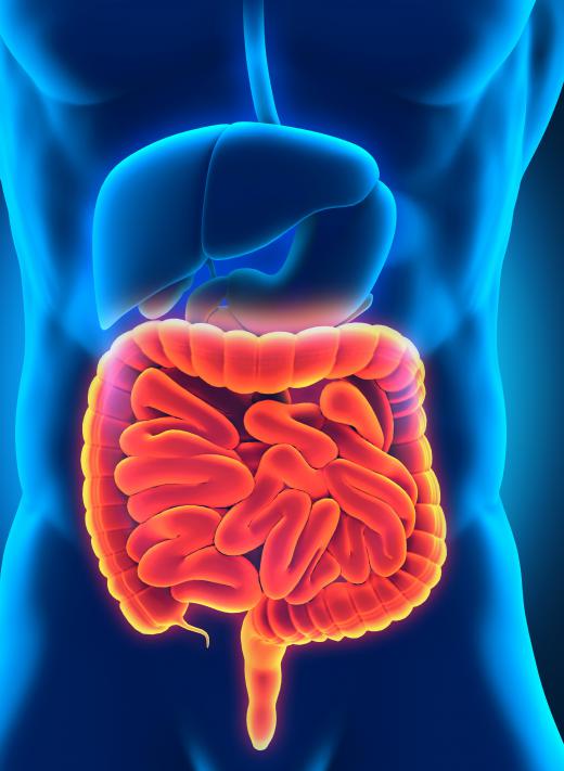 There are several disease processes that may affect both the pancreas and the duodenum.