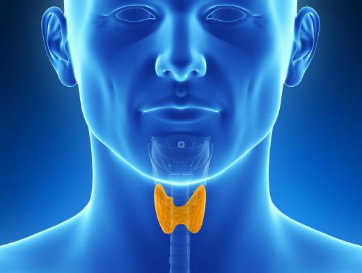 Hydrocodone with homatropine is not suitable for people who suffer from thyroid problems.