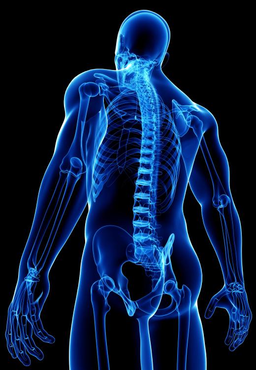 The spinal cord can also be affected by lipomas.