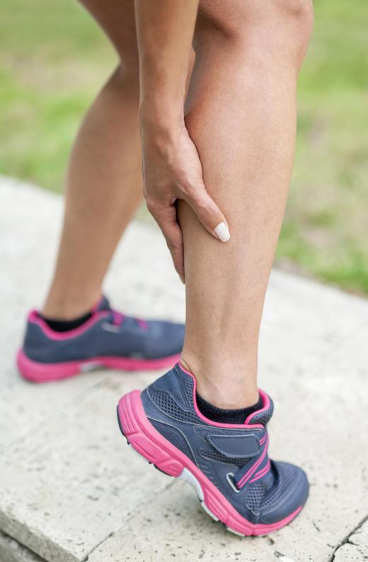 Calf muscles are used to flex the ankle and the knee.